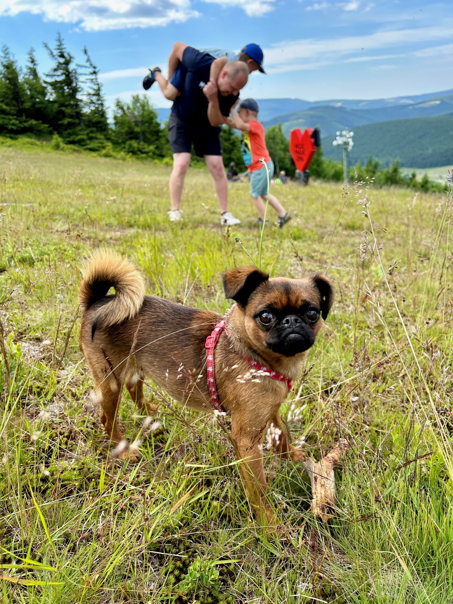 Dovolena se psem hlavni foto
