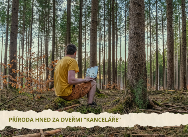 Home office titulni fotka ke clanku na web