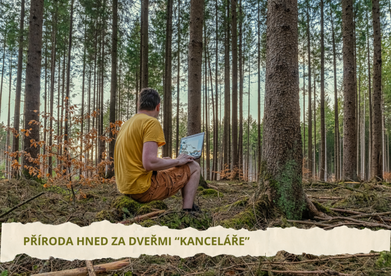 Home office titulni fotka ke clanku na web